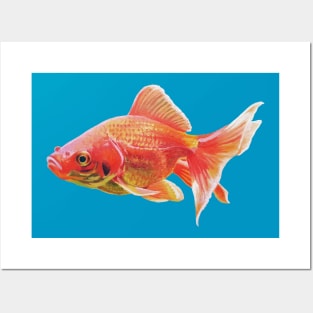 Painted goldfish Posters and Art